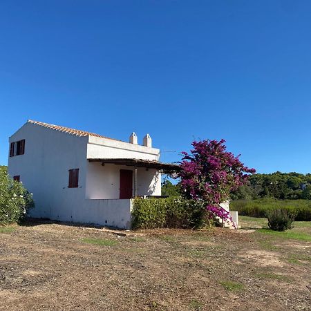 Casa Bianchi - Villa Immersa Nel Verde Carloforte  Eksteriør billede