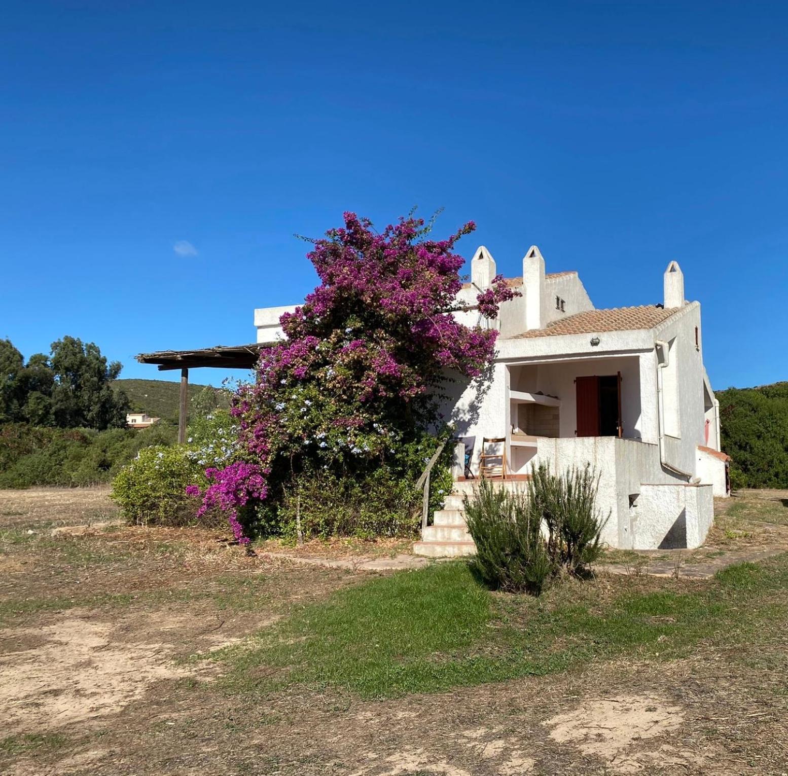 Casa Bianchi - Villa Immersa Nel Verde Carloforte  Eksteriør billede