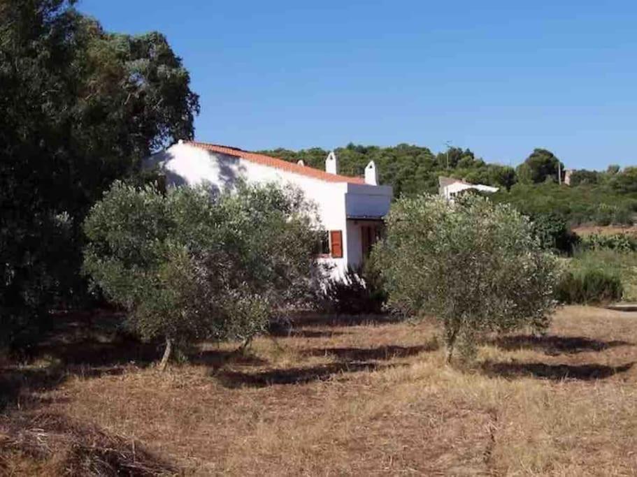 Casa Bianchi - Villa Immersa Nel Verde Carloforte  Eksteriør billede